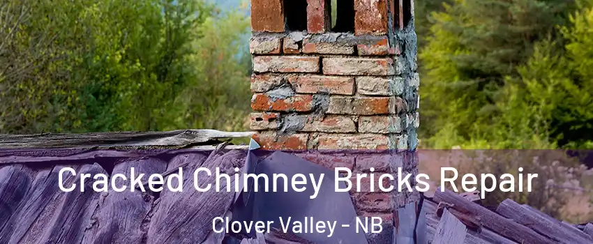 Cracked Chimney Bricks Repair Clover Valley - NB