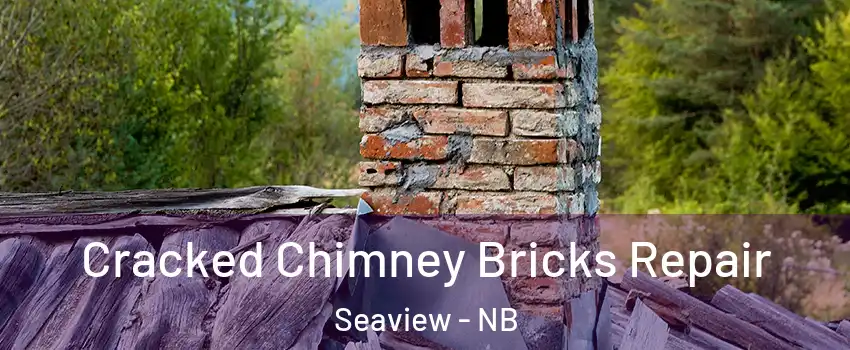 Cracked Chimney Bricks Repair Seaview - NB