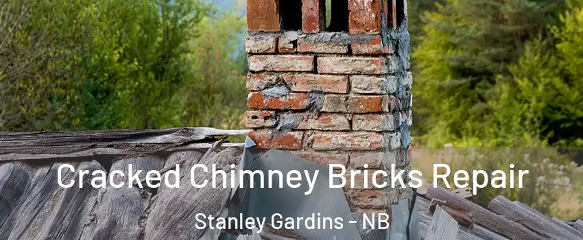  Cracked Chimney Bricks Repair Stanley Gardins - NB