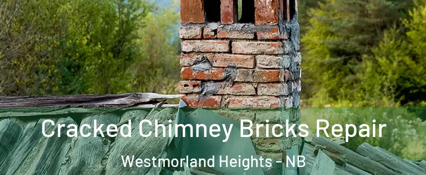  Cracked Chimney Bricks Repair Westmorland Heights - NB