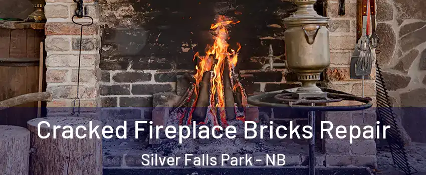  Cracked Fireplace Bricks Repair Silver Falls Park - NB