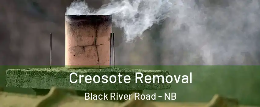  Creosote Removal Black River Road - NB