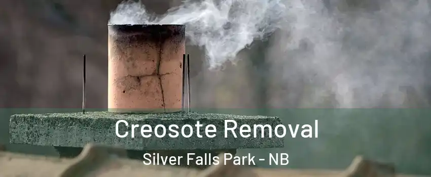  Creosote Removal Silver Falls Park - NB