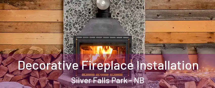  Decorative Fireplace Installation Silver Falls Park - NB