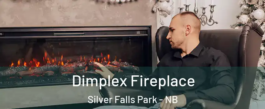  Dimplex Fireplace Silver Falls Park - NB