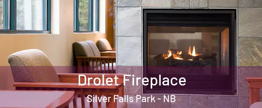 Drolet Fireplace Silver Falls Park - NB