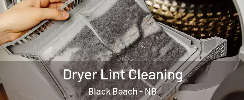  Dryer Lint Cleaning Black Beach - NB