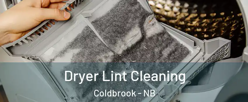  Dryer Lint Cleaning Coldbrook - NB