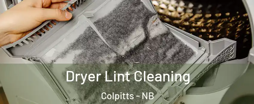  Dryer Lint Cleaning Colpitts - NB