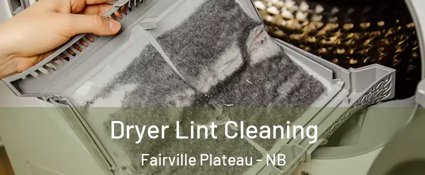  Dryer Lint Cleaning Fairville Plateau - NB