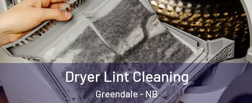  Dryer Lint Cleaning Greendale - NB