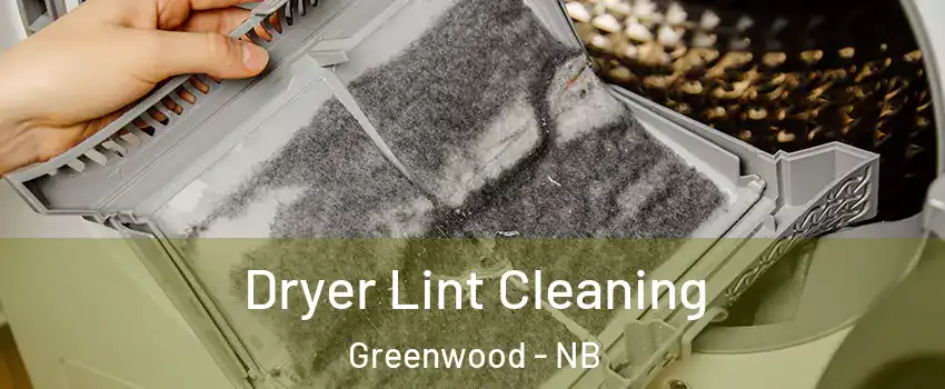  Dryer Lint Cleaning Greenwood - NB
