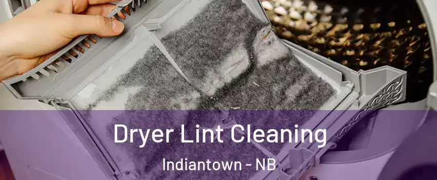  Dryer Lint Cleaning Indiantown - NB