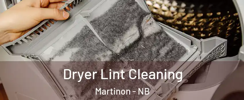  Dryer Lint Cleaning Martinon - NB