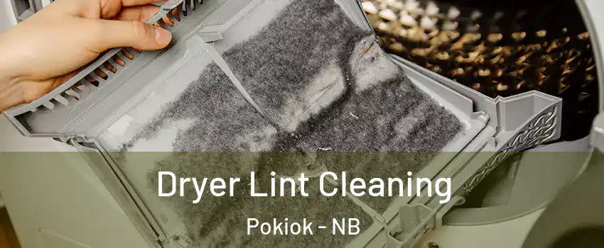  Dryer Lint Cleaning Pokiok - NB