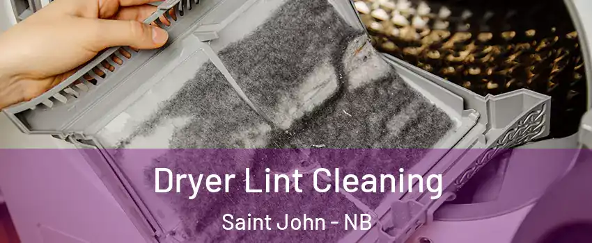  Dryer Lint Cleaning Saint John - NB