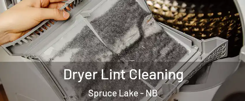  Dryer Lint Cleaning Spruce Lake - NB