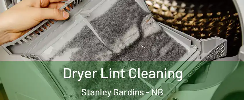  Dryer Lint Cleaning Stanley Gardins - NB