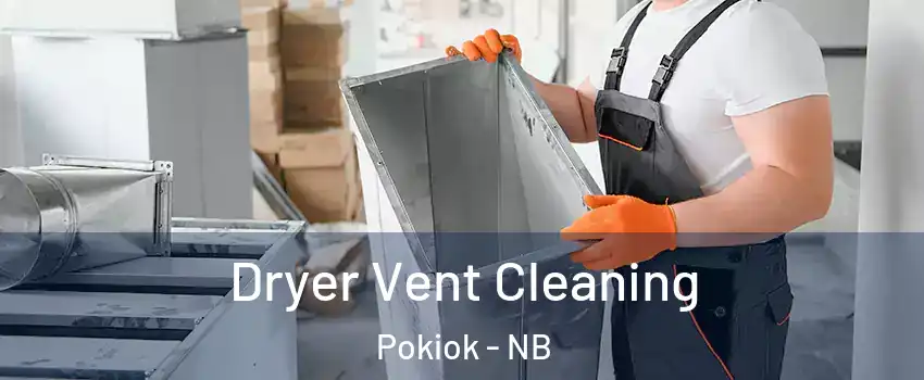  Dryer Vent Cleaning Pokiok - NB