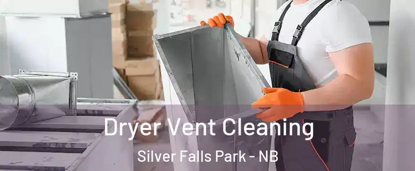  Dryer Vent Cleaning Silver Falls Park - NB