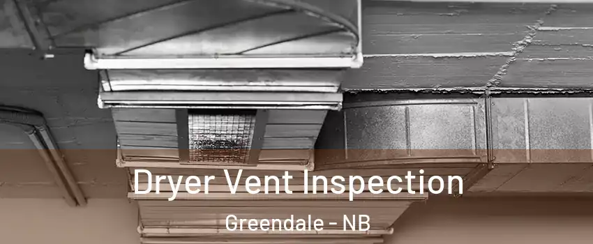  Dryer Vent Inspection Greendale - NB