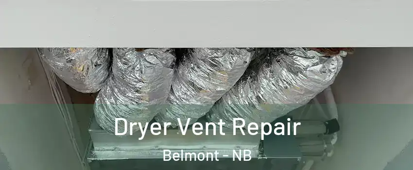  Dryer Vent Repair Belmont - NB