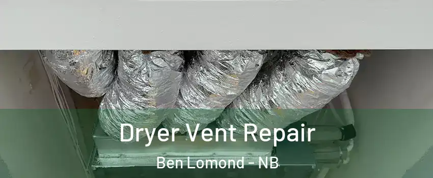  Dryer Vent Repair Ben Lomond - NB