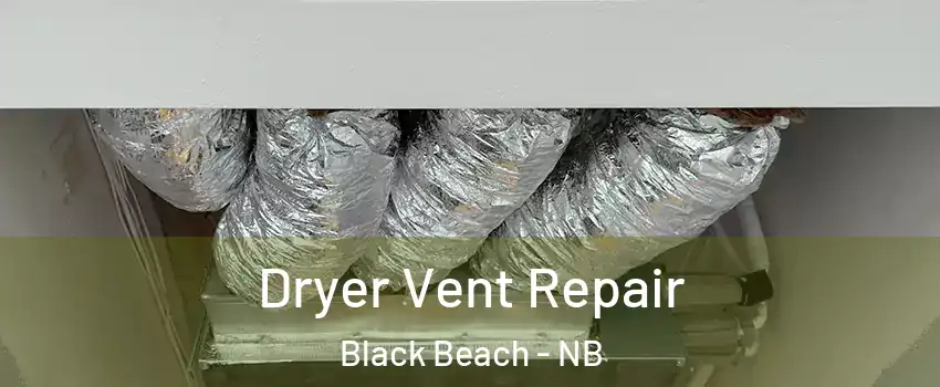  Dryer Vent Repair Black Beach - NB