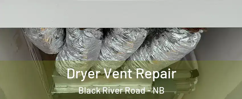  Dryer Vent Repair Black River Road - NB