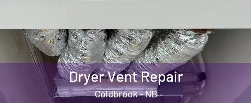  Dryer Vent Repair Coldbrook - NB