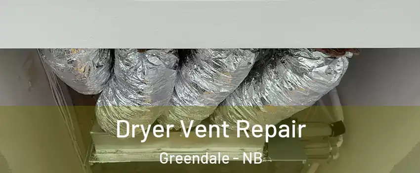  Dryer Vent Repair Greendale - NB