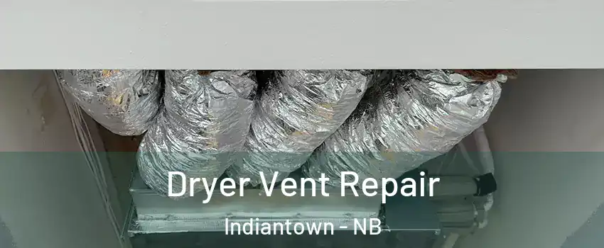  Dryer Vent Repair Indiantown - NB