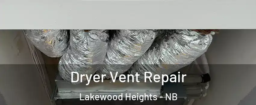  Dryer Vent Repair Lakewood Heights - NB