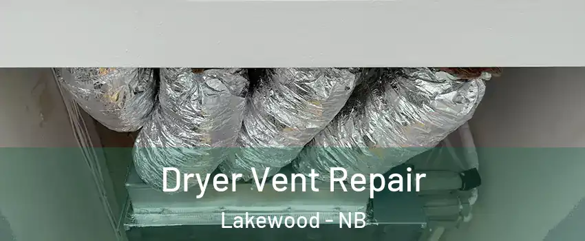  Dryer Vent Repair Lakewood - NB