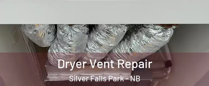  Dryer Vent Repair Silver Falls Park - NB