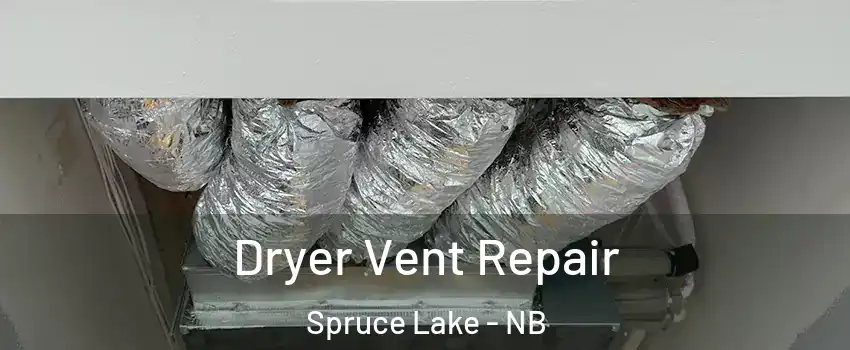  Dryer Vent Repair Spruce Lake - NB