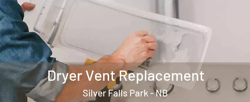  Dryer Vent Replacement Silver Falls Park - NB