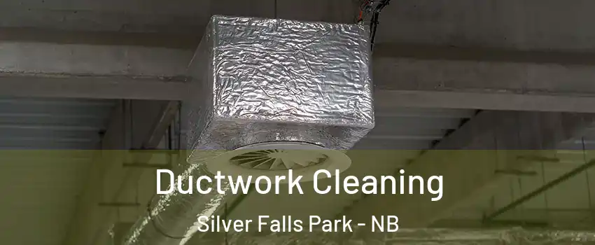  Ductwork Cleaning Silver Falls Park - NB