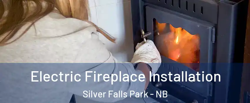  Electric Fireplace Installation Silver Falls Park - NB