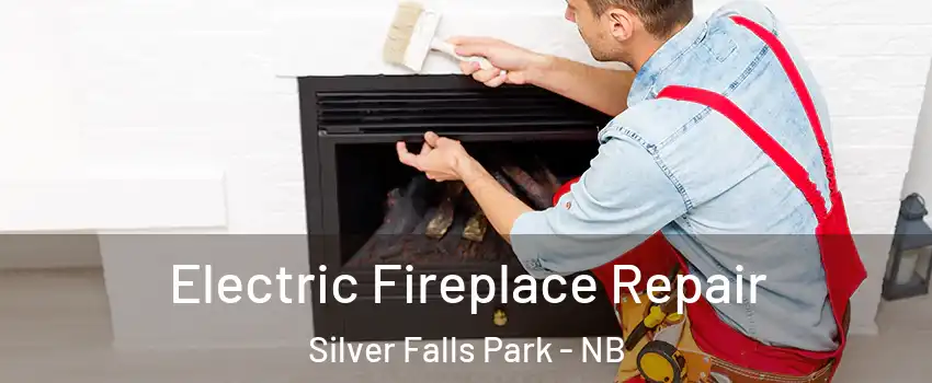  Electric Fireplace Repair Silver Falls Park - NB