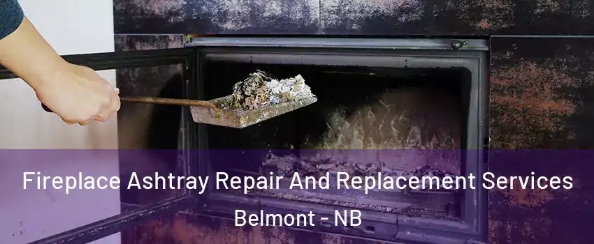  Fireplace Ashtray Repair And Replacement Services Belmont - NB