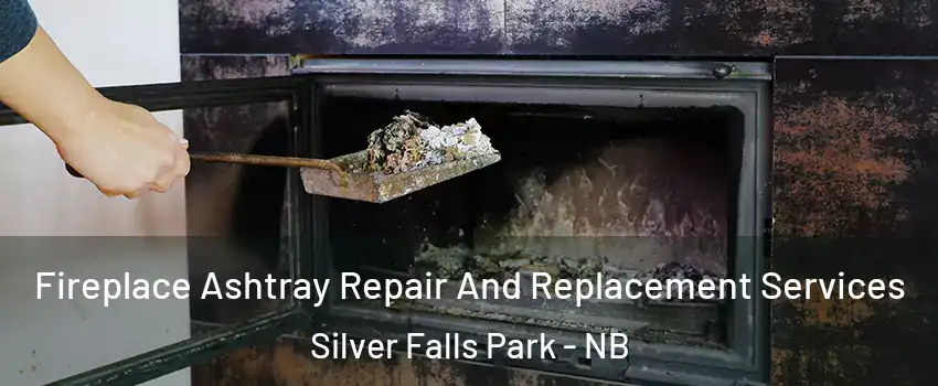  Fireplace Ashtray Repair And Replacement Services Silver Falls Park - NB