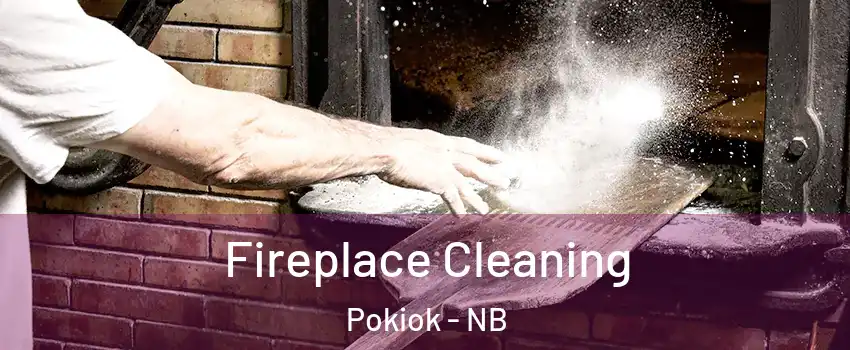  Fireplace Cleaning Pokiok - NB