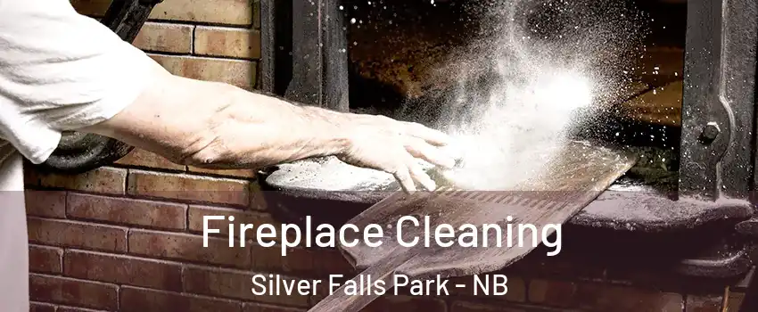  Fireplace Cleaning Silver Falls Park - NB