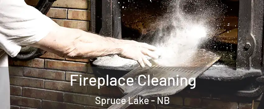  Fireplace Cleaning Spruce Lake - NB