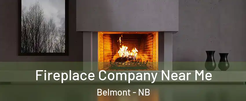  Fireplace Company Near Me Belmont - NB