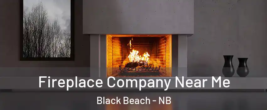 Fireplace Company Near Me Black Beach - NB