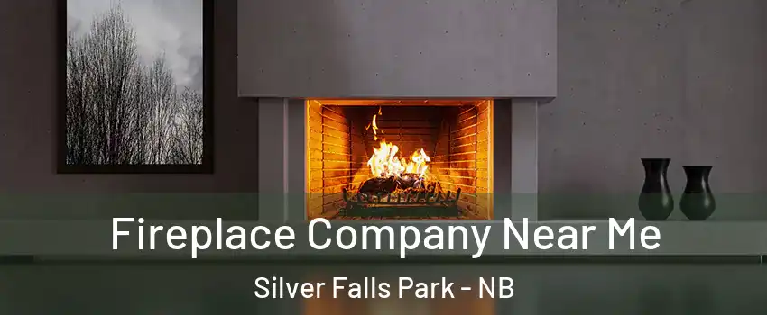 Fireplace Company Near Me Silver Falls Park - NB