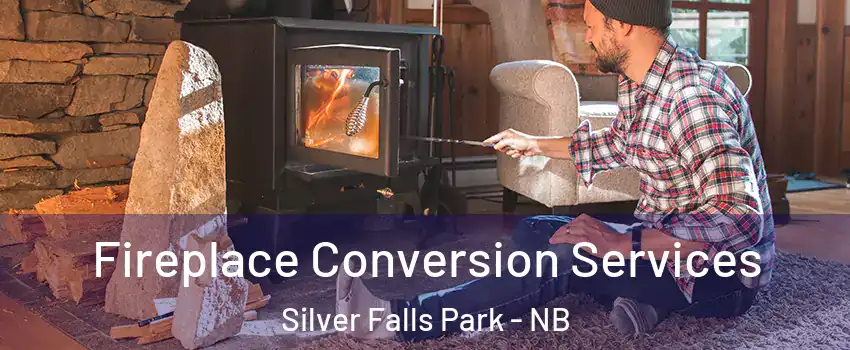 Fireplace Conversion Services Silver Falls Park - NB