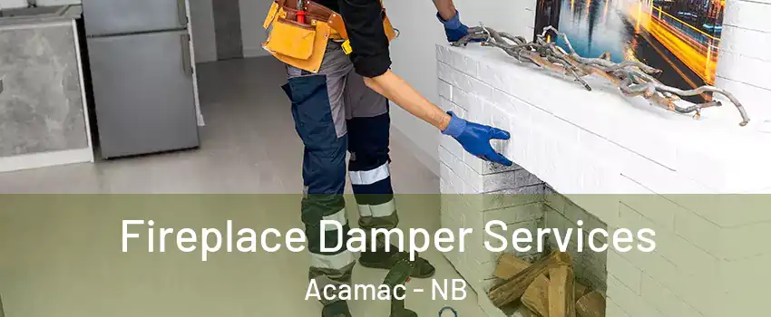  Fireplace Damper Services Acamac - NB